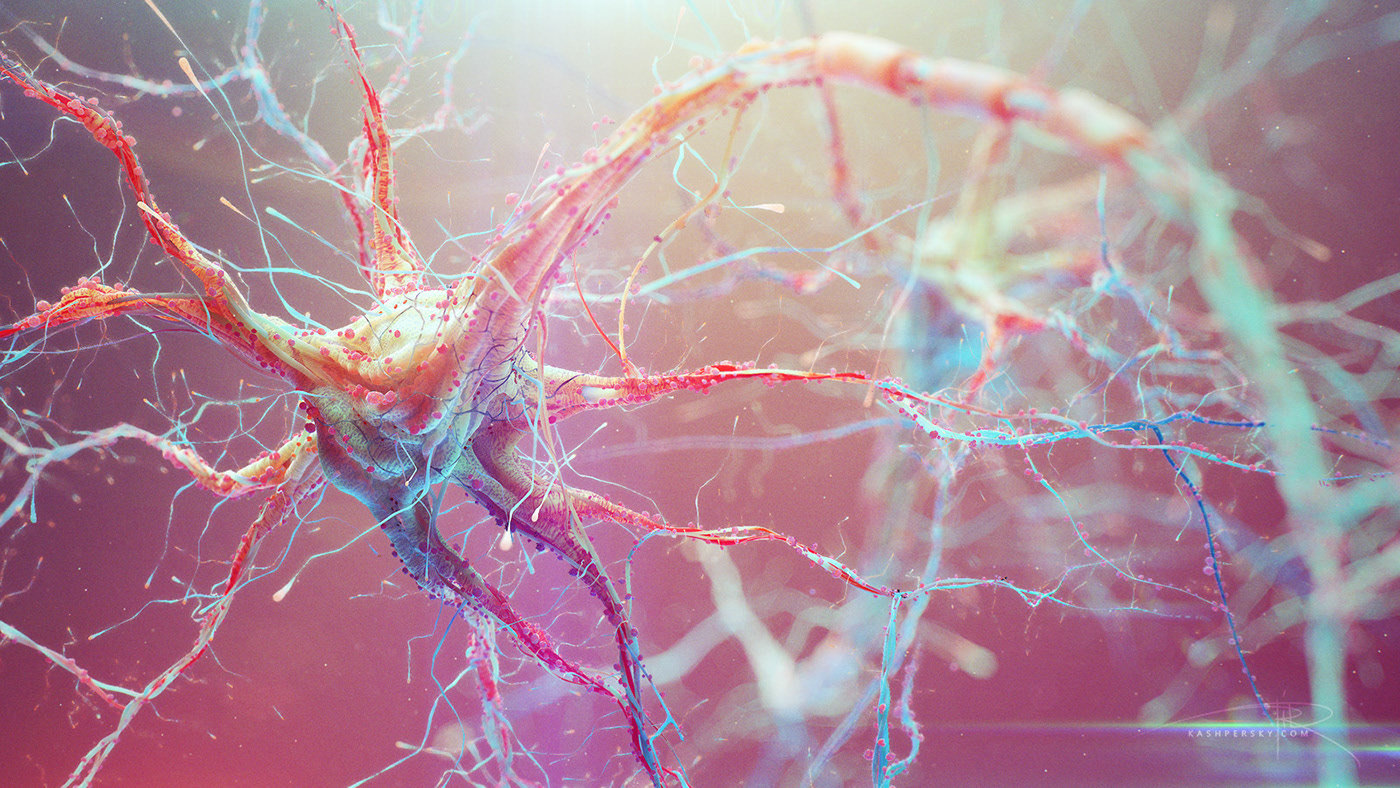 Neurons